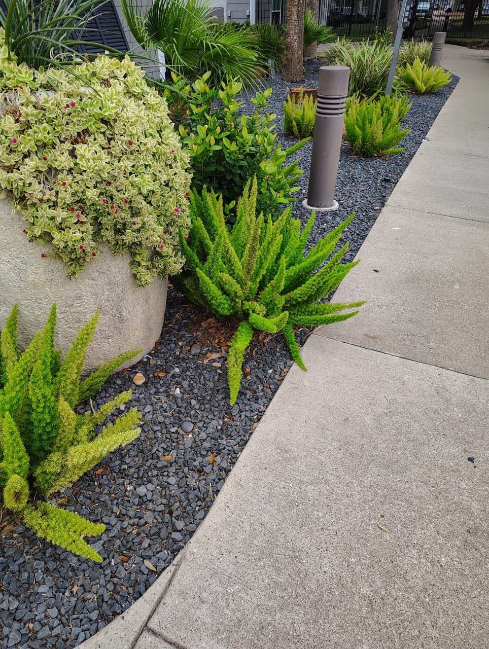 Completed Bay Area Landscapes project in the Coastal Bend